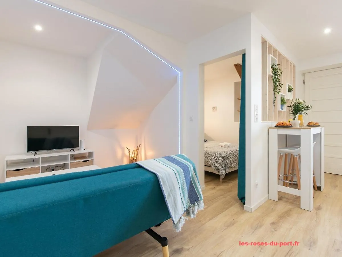 Au Confort Du Port Roannais Roanne Apartment